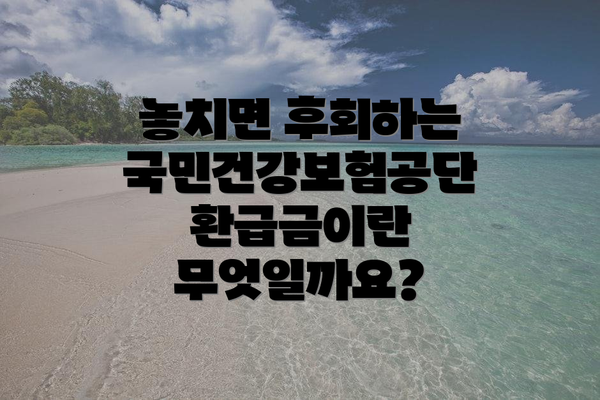 놓치면 후회하는 국민건강보험공단 환급금이란 무엇일까요?
