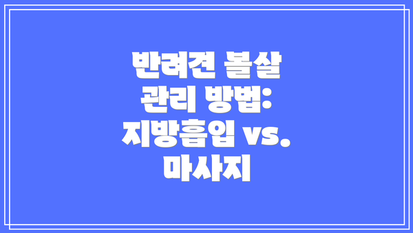 반려견 볼살 관리 방법: 지방흡입 vs. 마사지