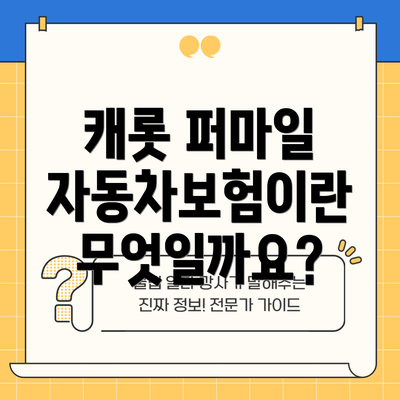 캐롯 퍼마일 자동차보험이란 무엇일까요?