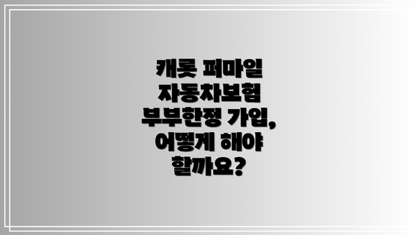 캐롯 퍼마일 자동차보험 부부한정 가입, 어떻게 해야 할까요?