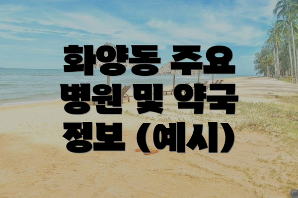 화양동 주요 병원 및 약국 정보 (예시)