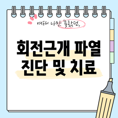 회전근개 파열 진단 및 치료