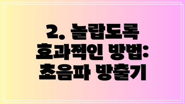2. 놀랍도록 효과적인 방법: 초음파 방출기
