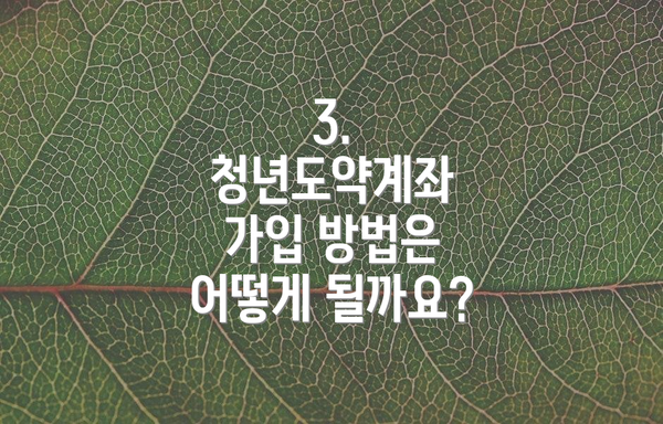 3. 청년도약계좌 가입 방법은 어떻게 될까요?