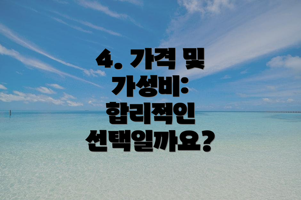 4. 가격 및 가성비:  합리적인 선택일까요?