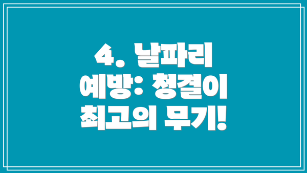 4. 날파리 예방: 청결이 최고의 무기!