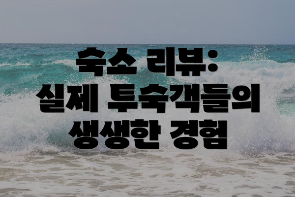 숙소 리뷰:  실제 투숙객들의 생생한 경험