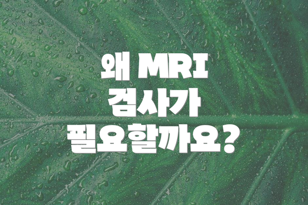 왜 MRI 검사가 필요할까요?