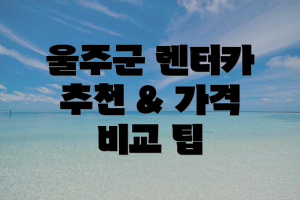 울주군 렌터카 추천 & 가격 비교 팁