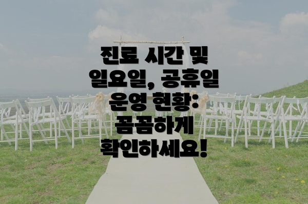 진료 시간 및 일요일, 공휴일 운영 현황: 꼼꼼하게 확인하세요!