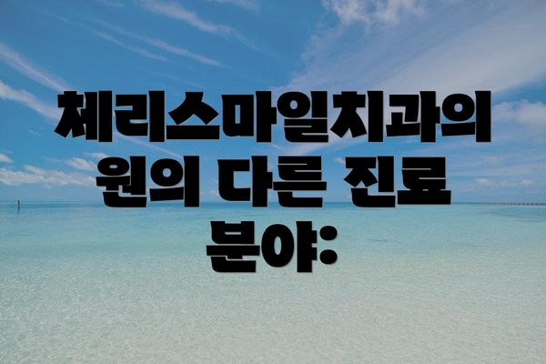 체리스마일치과의원의 다른 진료 분야: