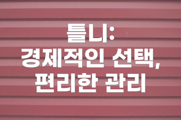 틀니: 경제적인 선택, 편리한 관리