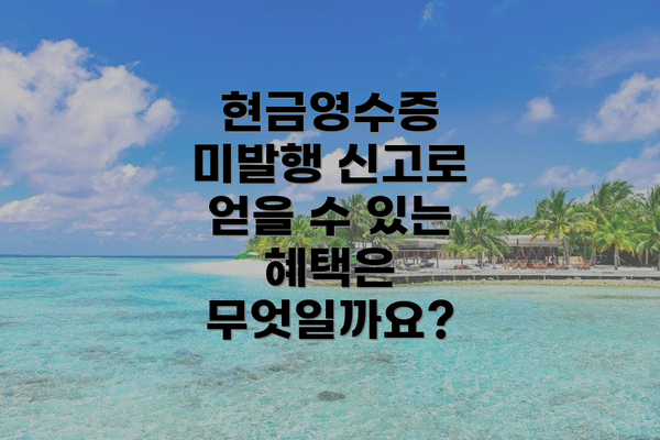 현금영수증 미발행 신고로 얻을 수 있는 혜택은 무엇일까요?