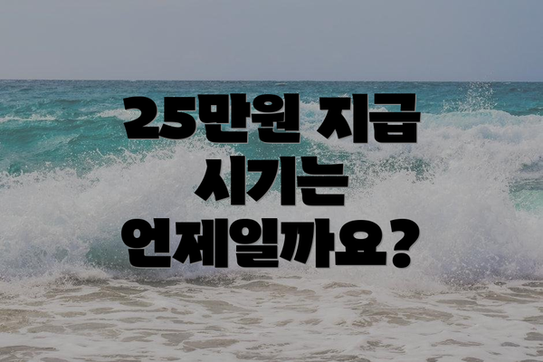 25만원 지급 시기는 언제일까요?