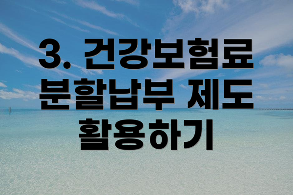 3. 건강보험료 분할납부 제도 활용하기