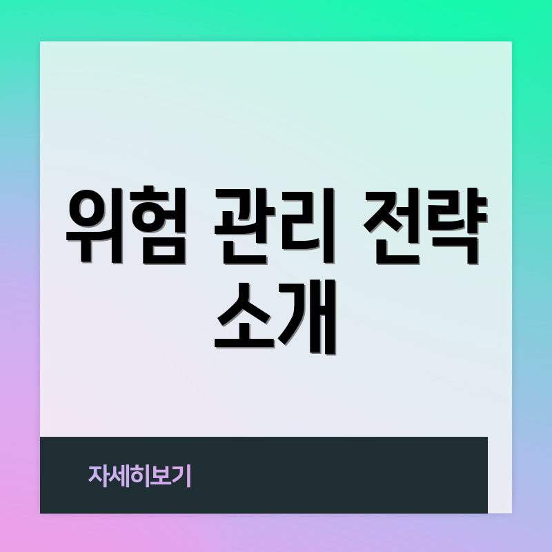 위험 관리 전략 소개