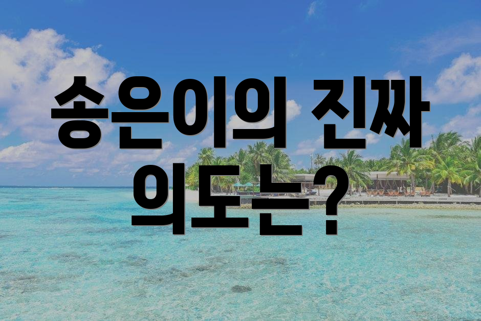 송은이의 진짜 의도는?