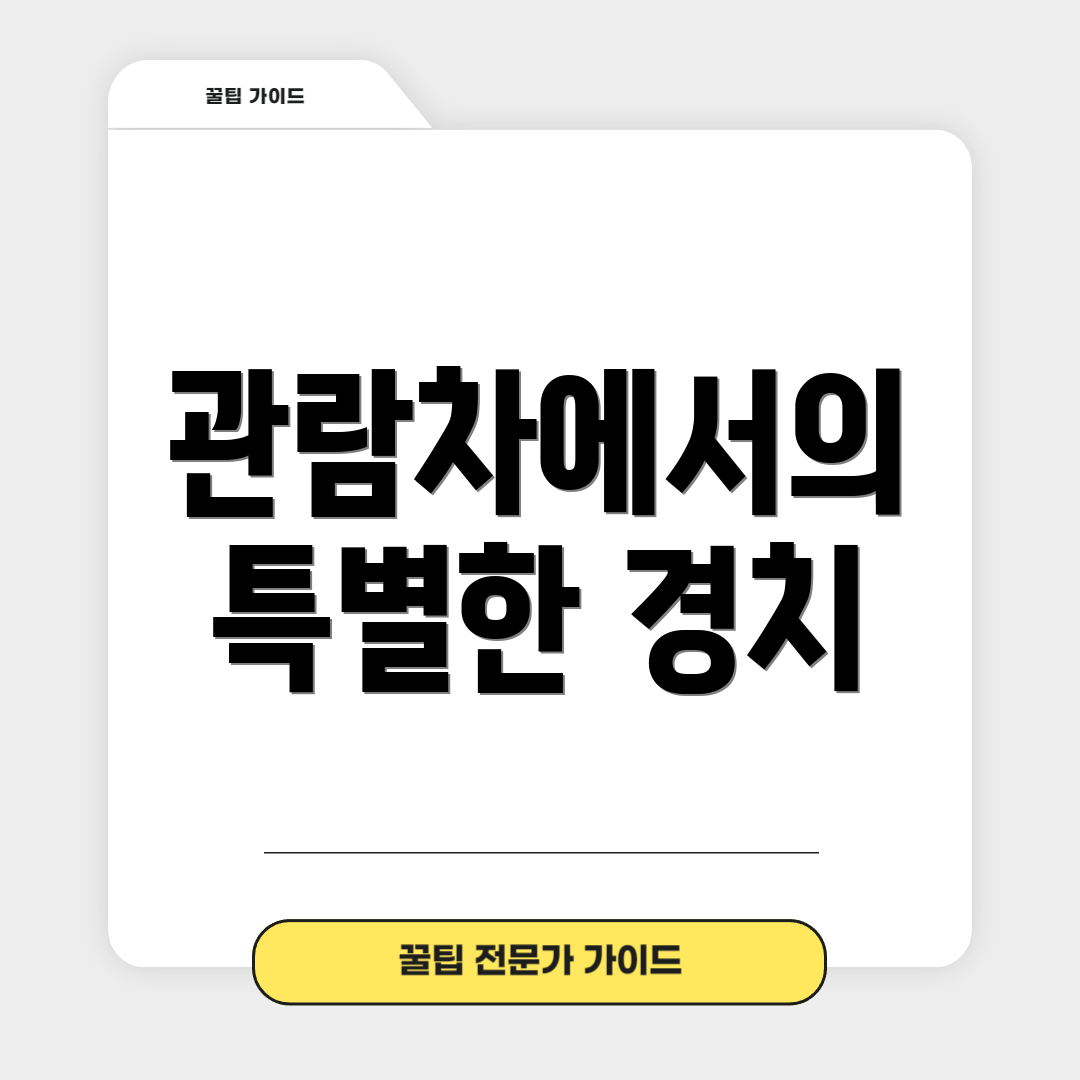 관람차에서의 특별한 경치