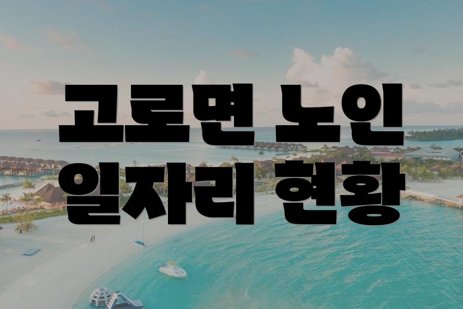 고로면 노인 일자리 현황