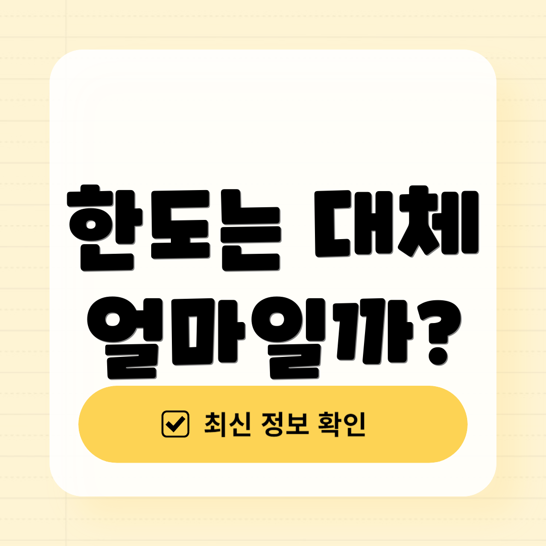 한도는 대체 얼마일까?