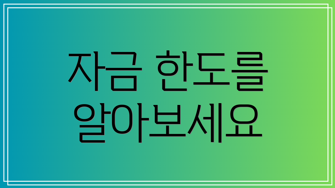 자금 한도를 알아보세요