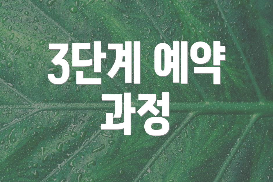 3단계 예약 과정