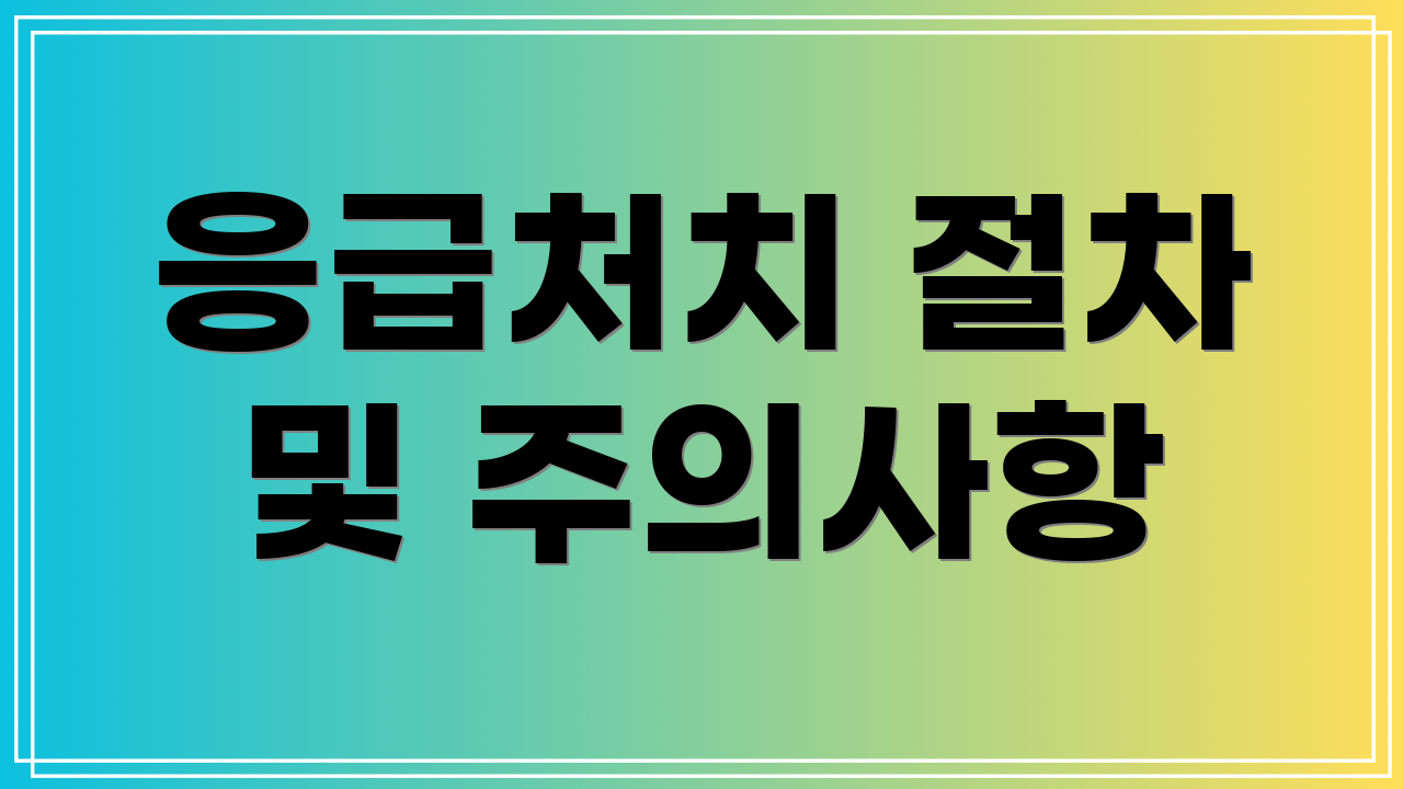 응급처치 절차 및 주의사항
