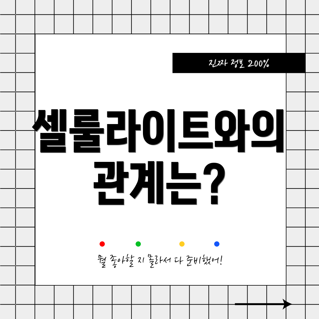 셀룰라이트와의 관계는?