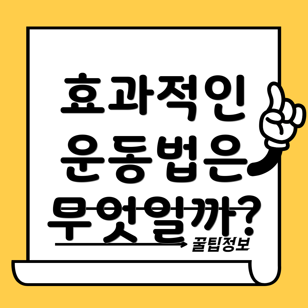 효과적인 운동법은 무엇일까?