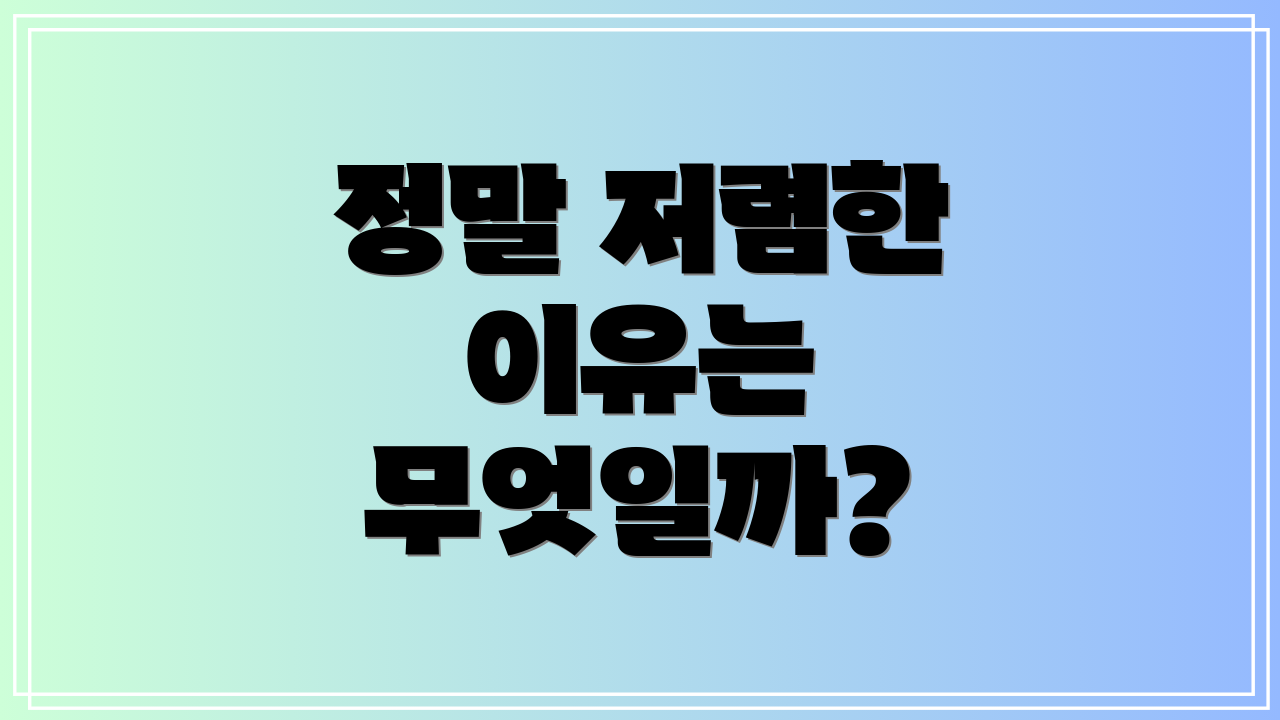 정말 저렴한 이유는 무엇일까?