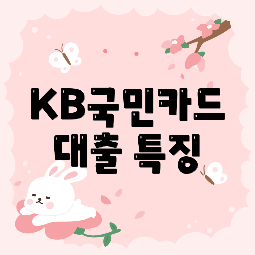 KB국민카드 대출 특징