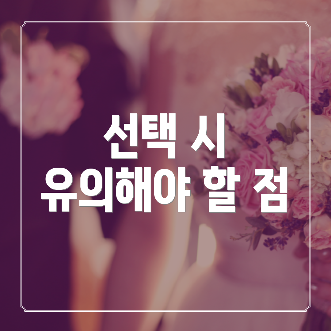 선택 시 유의해야 할 점