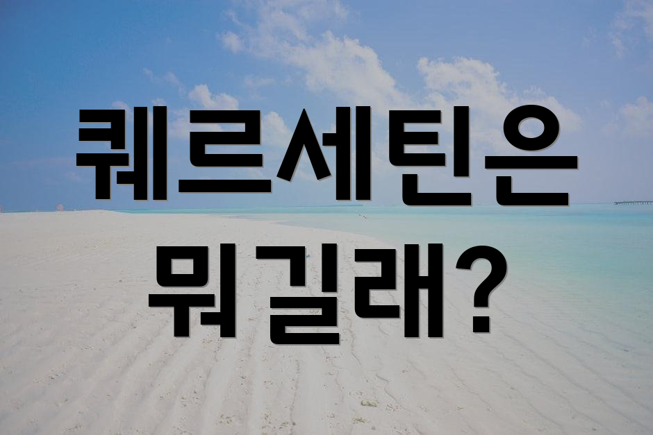퀘르세틴은 뭐길래?