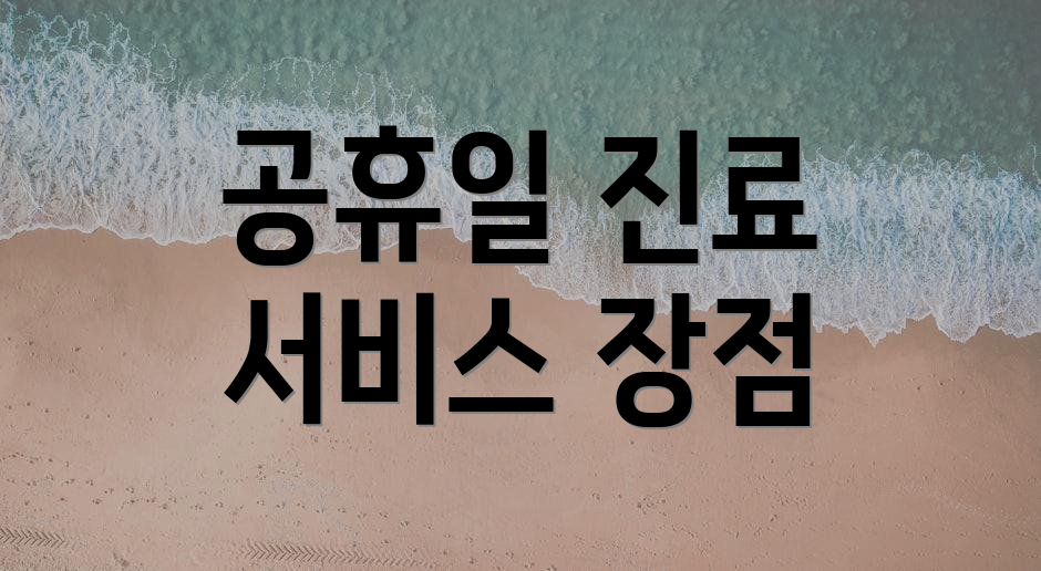 공휴일 진료 서비스 장점