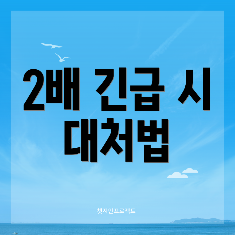 2배 긴급 시 대처법