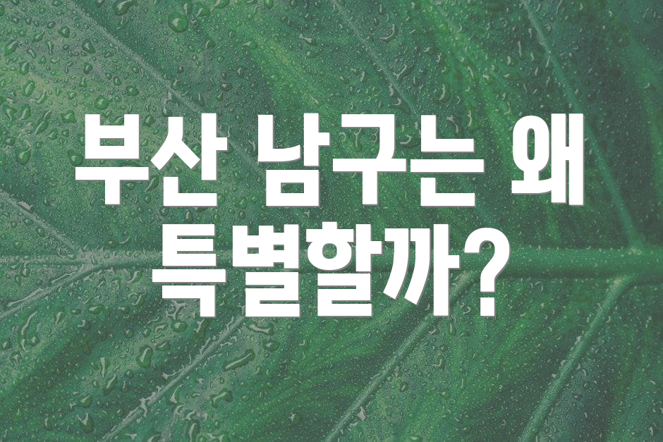 부산 남구는 왜 특별할까?