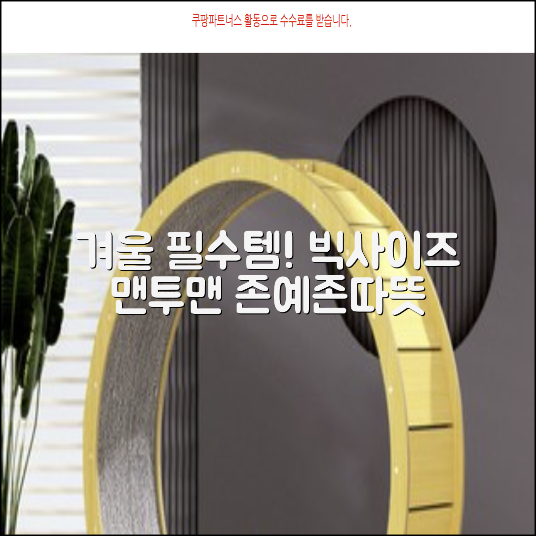 서프런던 문더베어 오버핏 빅사이즈 기모 맨투맨 ZAMD_0012 추천 리뷰