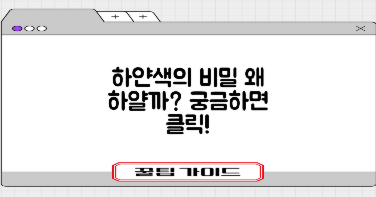화이트 색상, 이유는 뭘까?