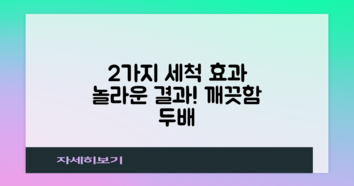 2가지 세척 효과