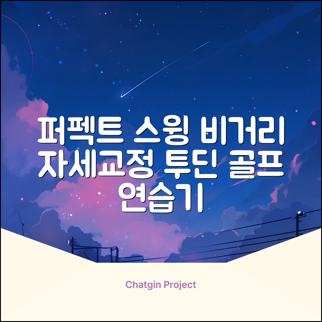 투딘골프 리얼타격감 퍼팩트 스윙트레이너 비거리향상 자세교정 스윙연습기, 블랙 교정그립, 1개 추천 리뷰