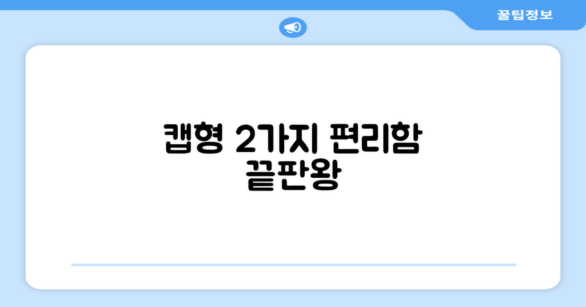 2가지 캡형 편리함