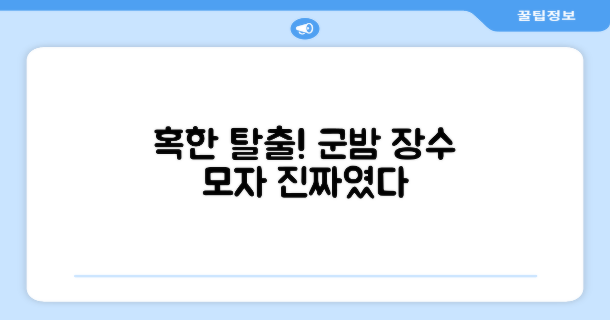 군밤 장수 모자, 혹한 탈출?