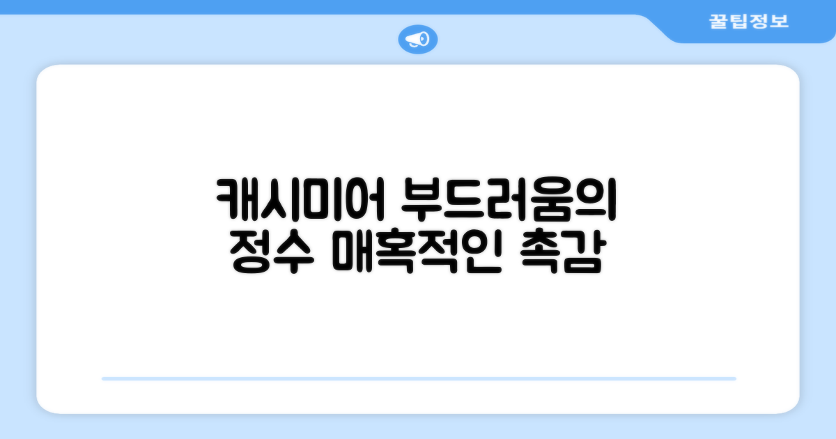 부드러움의 정수, 캐시미어의 매력