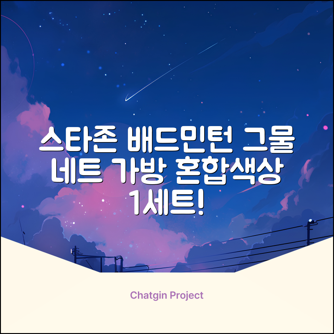 스타존 배드민턴 그물 네트 + 가방, 혼합색상, 1세트 추천 리뷰