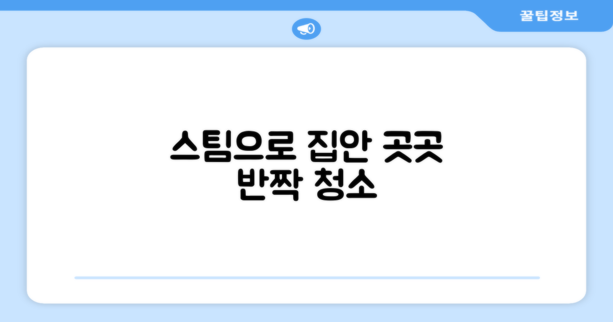 집안 곳곳, 스팀으로 깨끗하게?