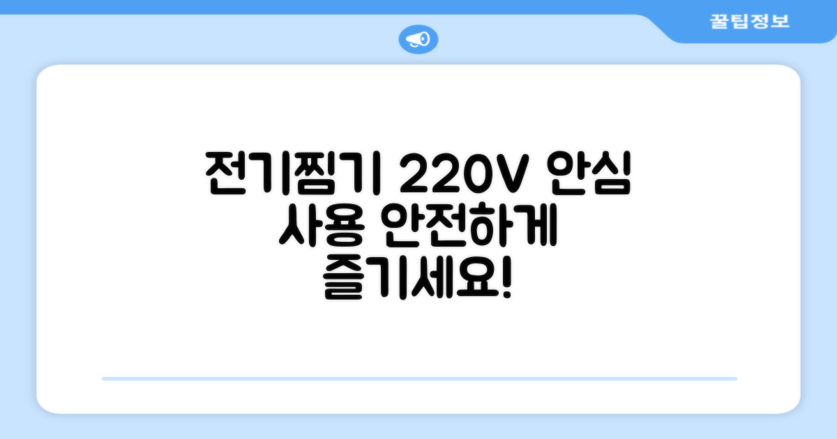 전기찜기, 220V 안전 사용
