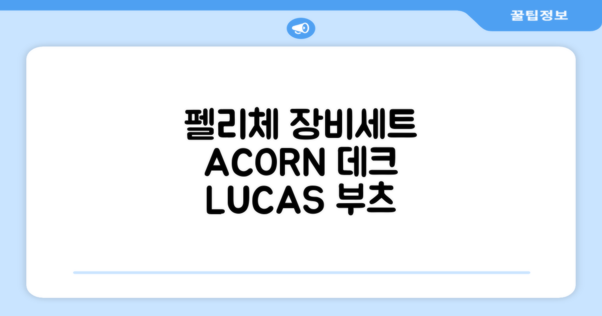 FELICE 장비세트6 ACORN데크 바인딩 LUCAS부츠, WESTSIDE 레드154+바인딩M, 1개 추천 리뷰