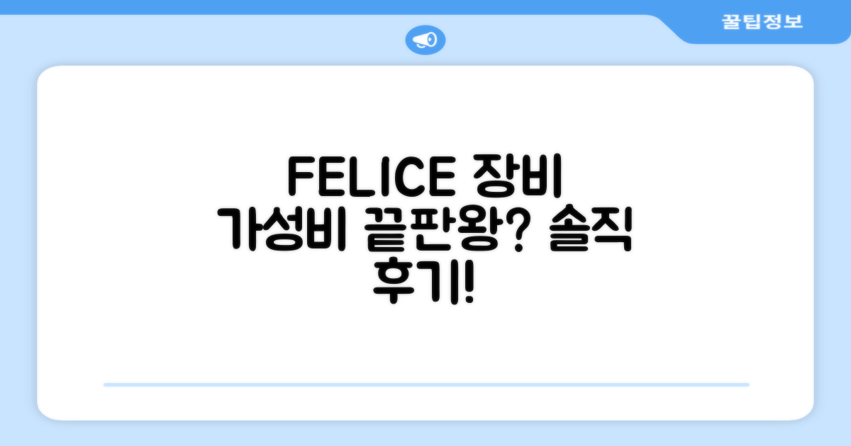 FELICE 장비, 가성비 끝판왕?