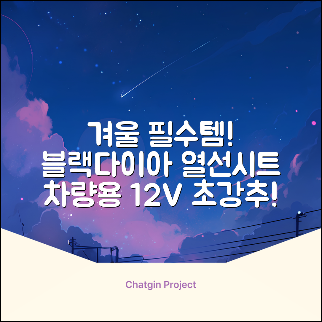 블랙다이아 차량용 열선시트 (1P) 털 겨울 히팅 전기시트, 1개, 12V (운전/조수석) 추천 리뷰