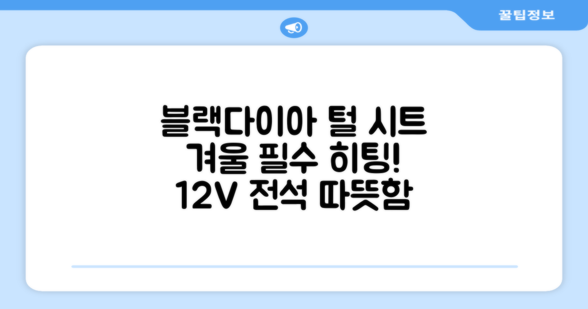 블랙다이아 차량용 열선시트 (1P) 털 겨울 히팅 전기시트, 1개, 12V (운전/조수석) 추천 리뷰